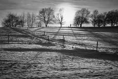 Jan-2016L1003584-3
