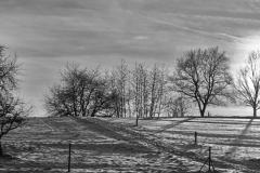 Jan-2016L1003584