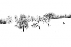 Jan-2021-Q-L1240013-Final