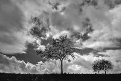 Mai-2021-M10P-L1001387-1