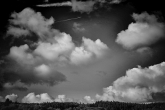Okt-19-M10-L1005357