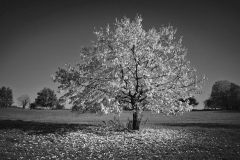 Oktober-2015-M9-L1066741